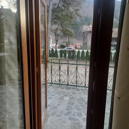 Casa Litman * Sinaia